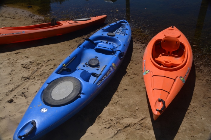 kayaks on shore